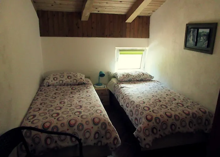 Kamp Rut