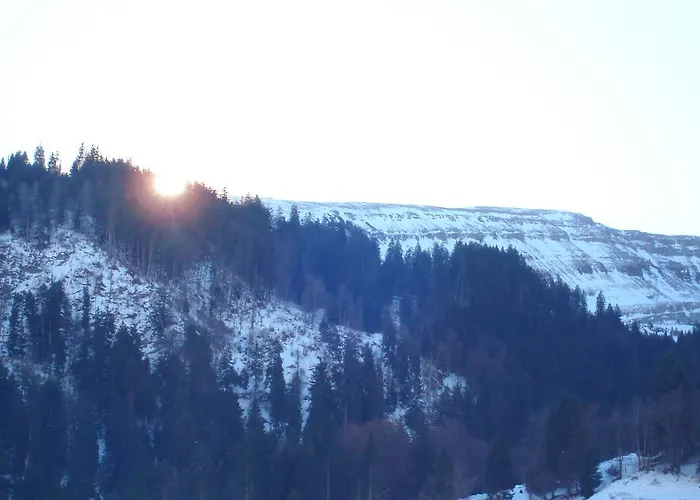 Hotel Alpina
