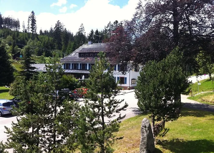 Hotel Sarbacher