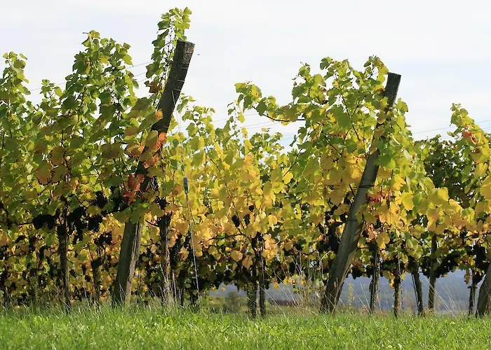 Landgasthof Sonne