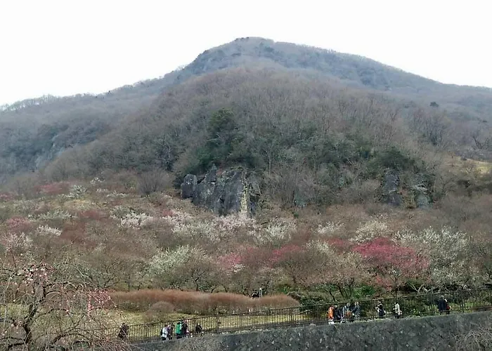 Yugawara Onsen Ryokan Uohan