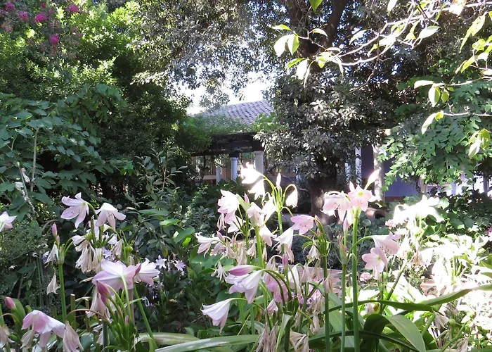 Hotel Boutique Quinta Maria