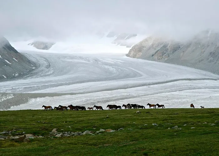 Adventure Riders Mongolia