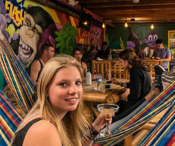 Purple Monkey Hostel