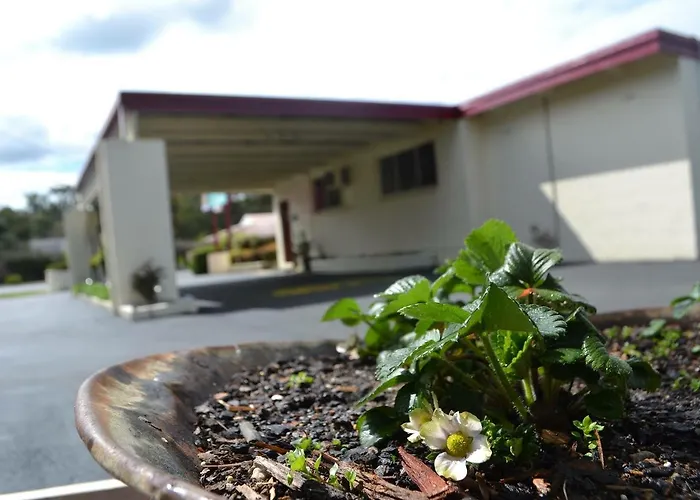 Wattle Motel