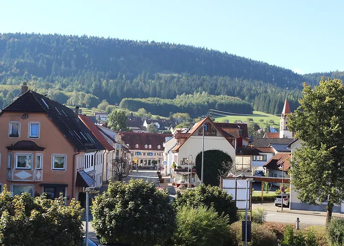 Hotel Heuberger Hof, Wehingen