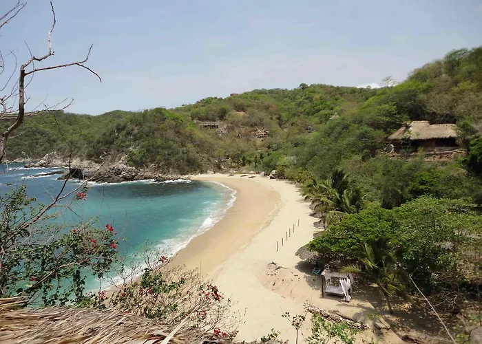 Casa Luna Playa