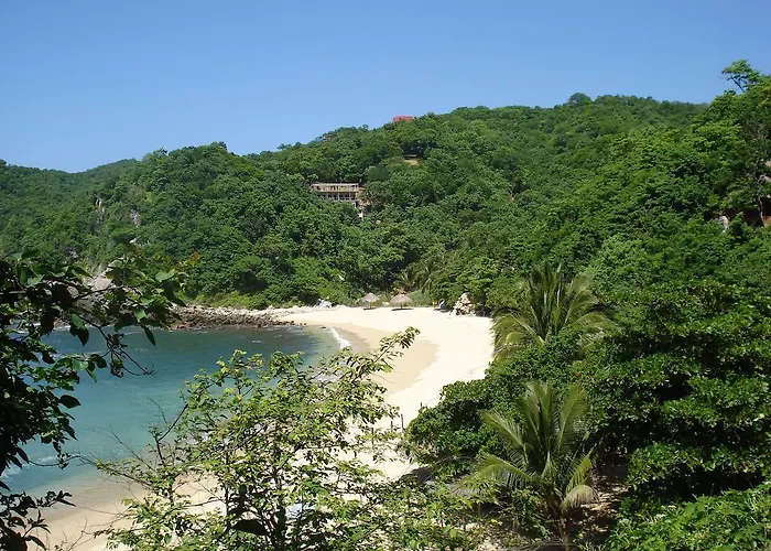 Casa Luna Playa