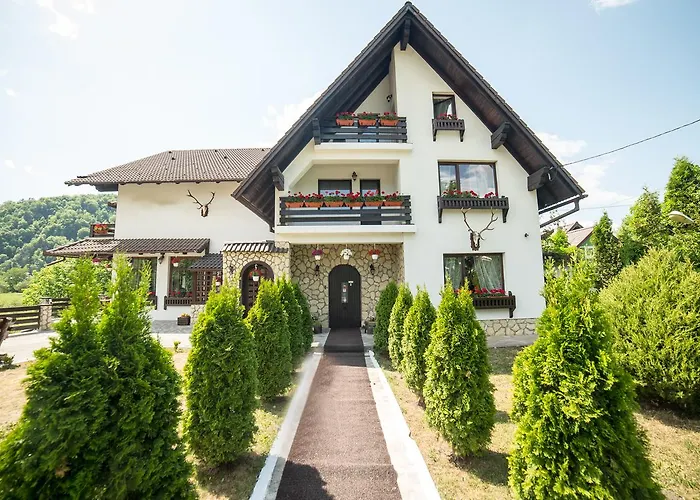 Bran (Brasov) Hotels