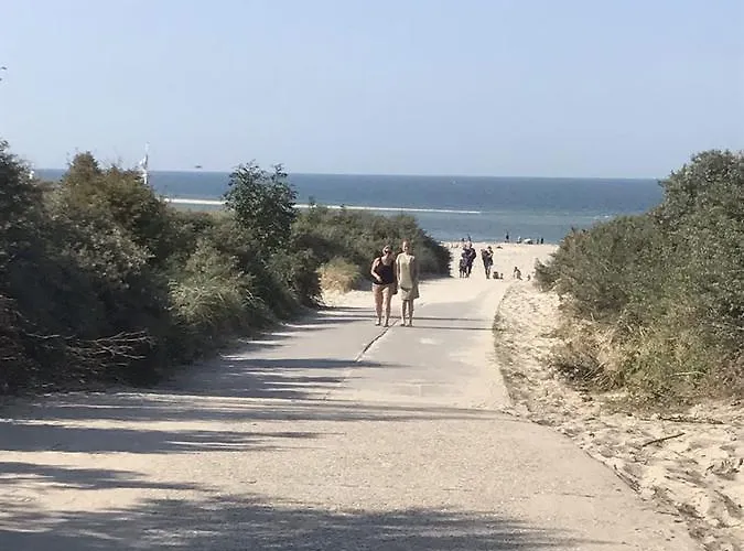 De Waterlelie