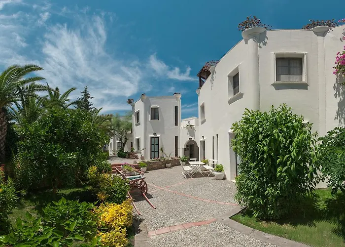Hotels in Torba
