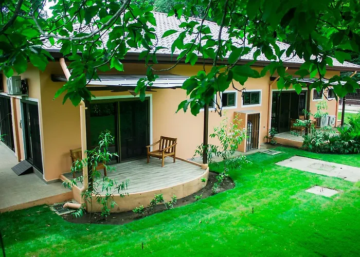 Hotels in David