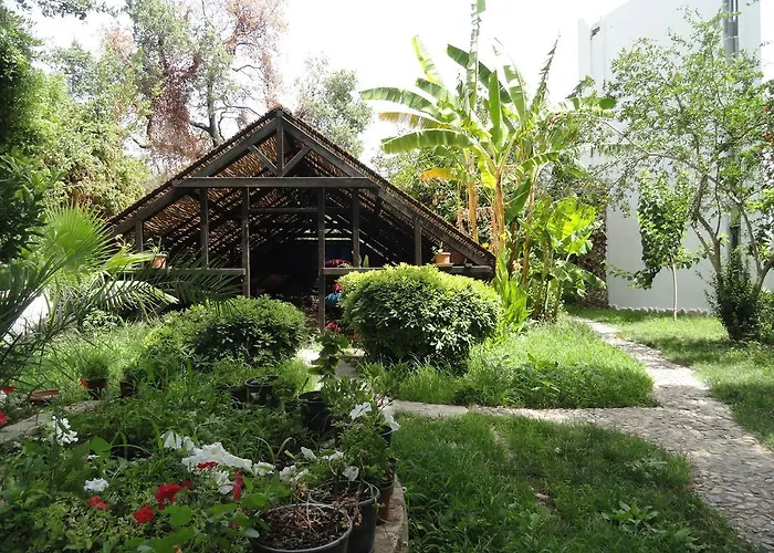 Ece "Vegan"Hotel Bodrum