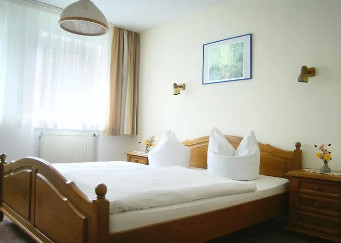 Hotel Bad Schmiedeberger Hof
