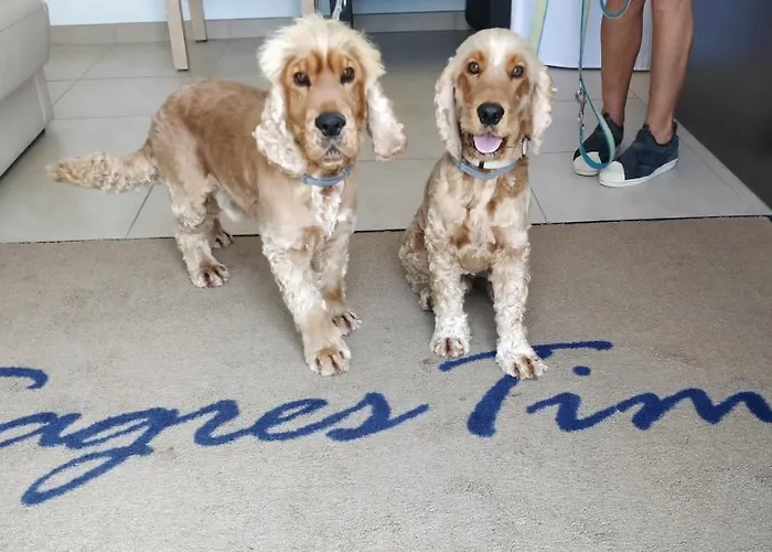 Hotéis de golfe em Sagres