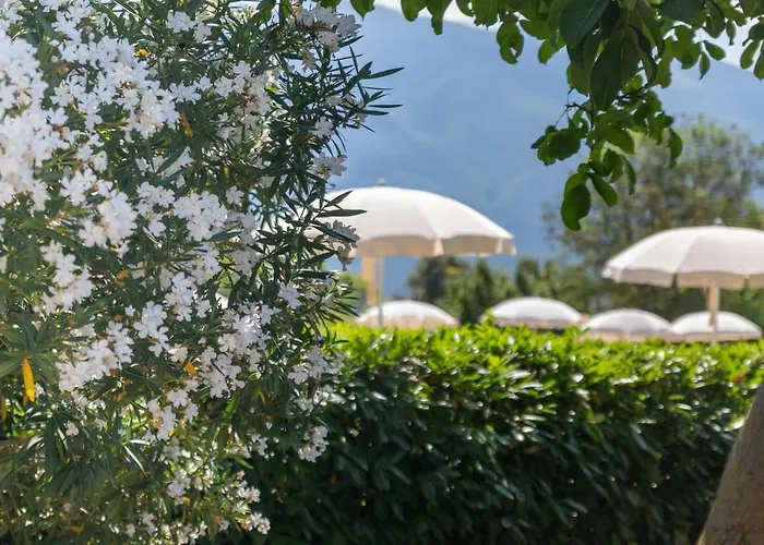 Park Hotel Zanzanu