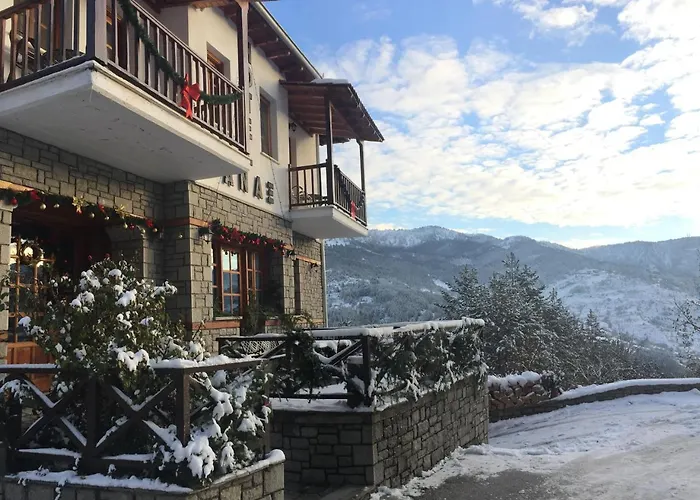 Hotel Anax