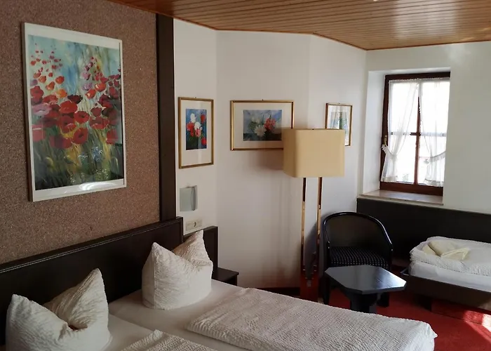Hotel-Landgasthof Grüner Baum - Dittigheim