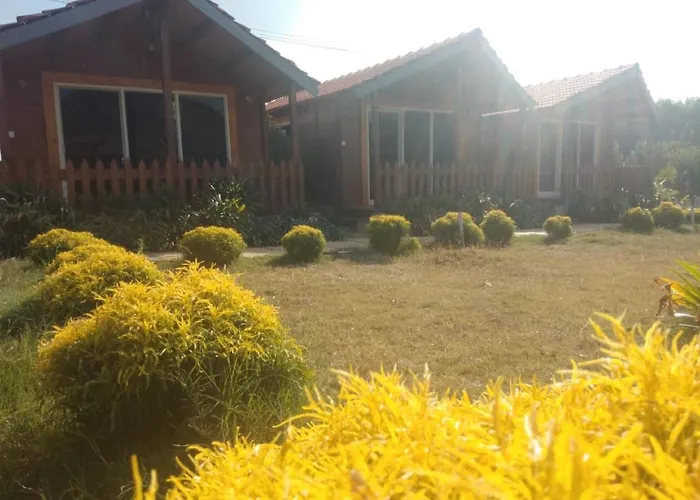 Trippr Chikkamagaluru