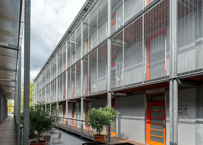 Orange Wings Krems