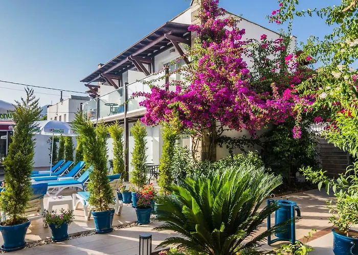 Cotton Boutique Hotel