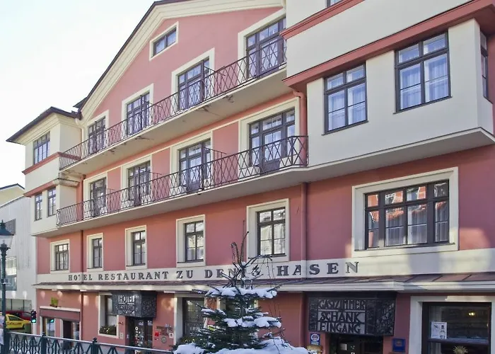 Hotel-Restaurant Drei Hasen