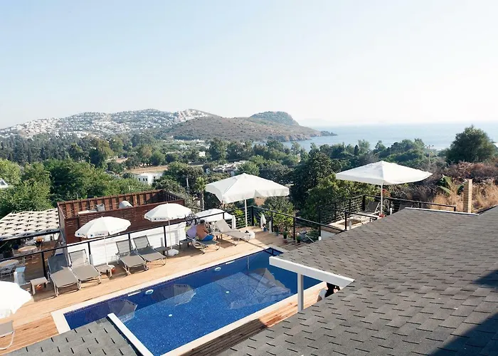 Hotels in Gümüşlük