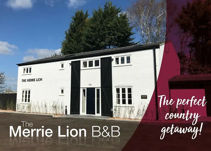 The Merrie Lion