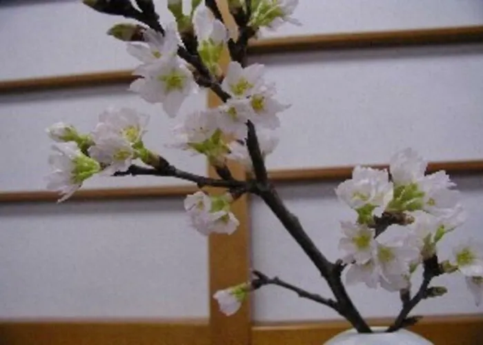 Wakaba Ryokan / Vacation Stay 29366