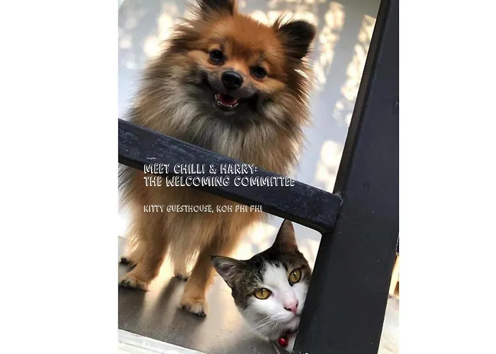 Kitty Guesthouse