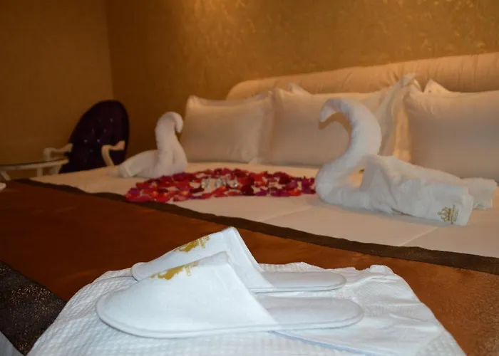 Hotel Crowner David