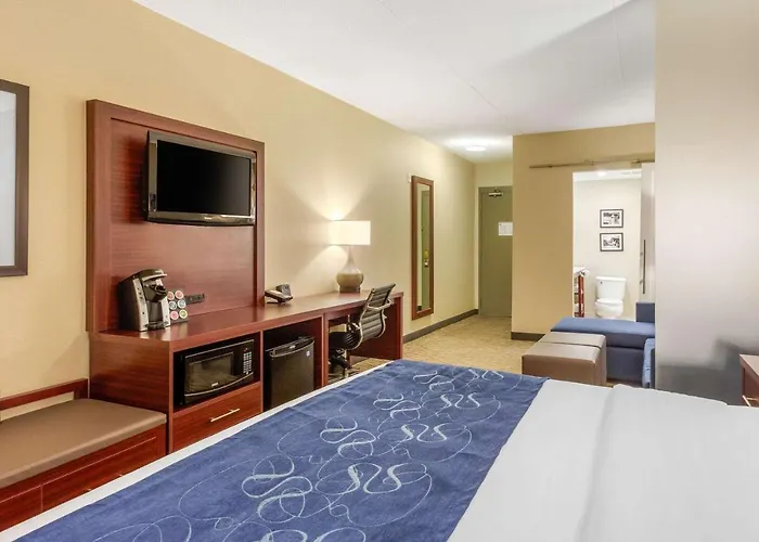 Comfort Suites Downtown Windsor