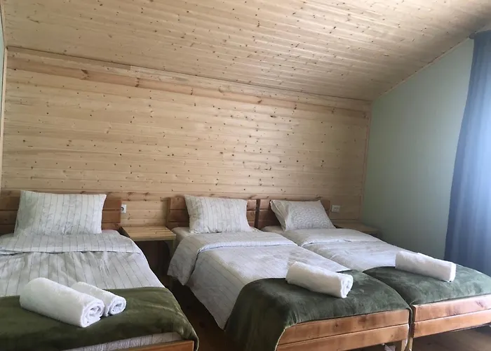 Cozy Place In Kazbegi