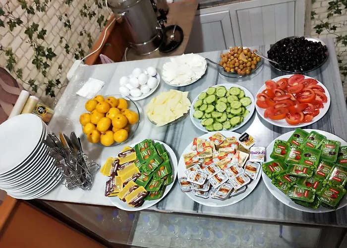 Otel Çinar