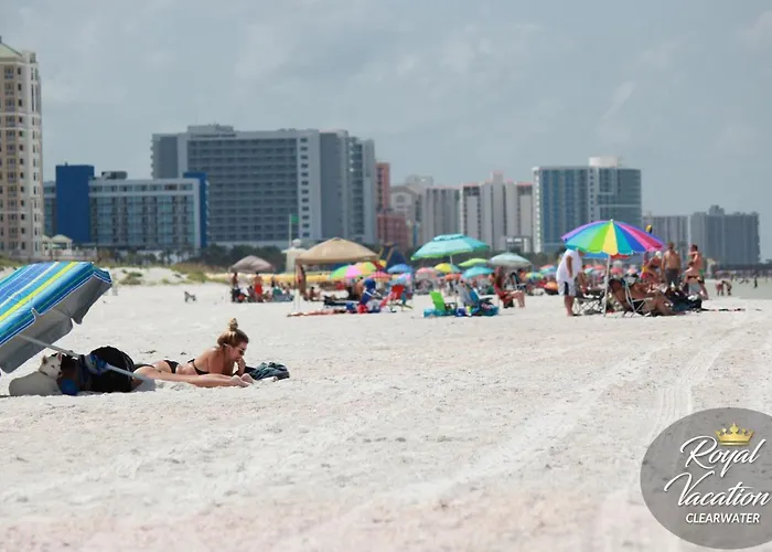 Royal Marina At Avalon Clearwater - Pool & Free Parking - 10 Min Drive To Clearwater Beach