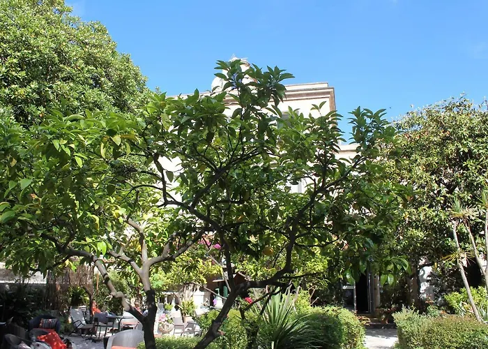 Hotel Les Palmiers