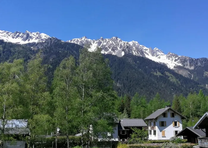Le Chamoniard Volant