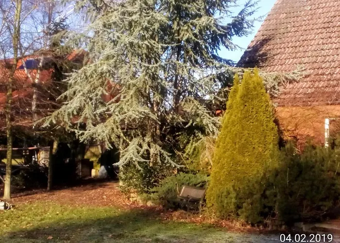 Hotel Leppiner Hof - B&B FRÜHSTÜCKSPENSION