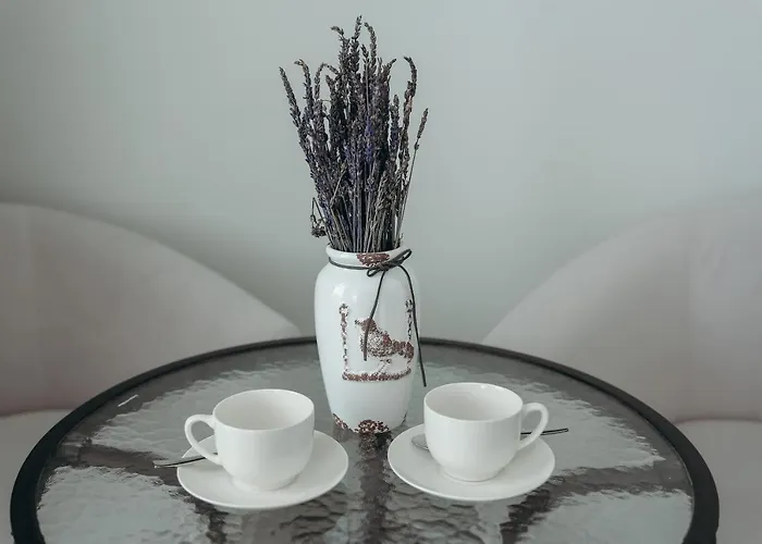 7 Boutique Hotel